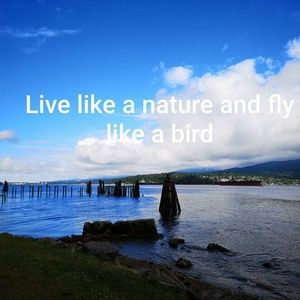 Meet your Posher, Mie